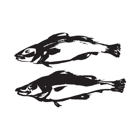 [DMC-0016]생선2마리 붓그림